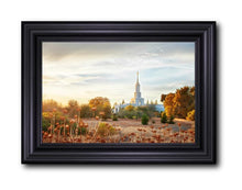 Load image into Gallery viewer, Sacramento 07