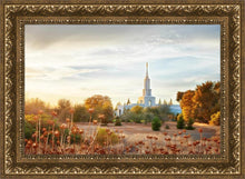 Load image into Gallery viewer, Sacramento 07