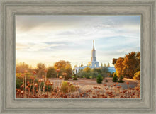 Load image into Gallery viewer, Sacramento 07