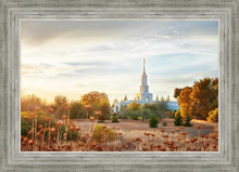 Load image into Gallery viewer, Sacramento 07