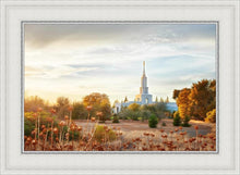 Load image into Gallery viewer, Sacramento 07