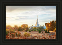Load image into Gallery viewer, Sacramento 07