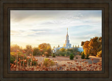Load image into Gallery viewer, Sacramento 07