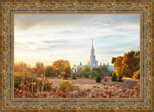 Load image into Gallery viewer, Sacramento 07