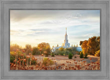 Load image into Gallery viewer, Sacramento 07