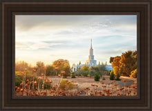 Load image into Gallery viewer, Sacramento 07
