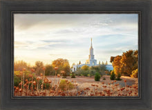Load image into Gallery viewer, Sacramento 07