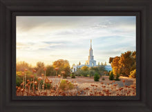 Load image into Gallery viewer, Sacramento 07