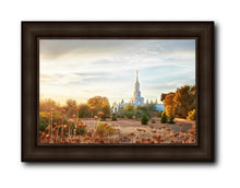 Load image into Gallery viewer, Sacramento 07