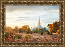 Load image into Gallery viewer, Sacramento 07