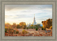 Load image into Gallery viewer, Sacramento 07
