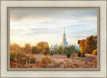Load image into Gallery viewer, Sacramento 07