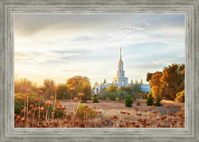 Load image into Gallery viewer, Sacramento 07
