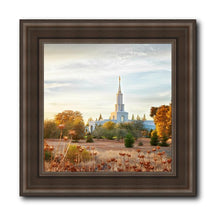 Load image into Gallery viewer, Sacramento 07