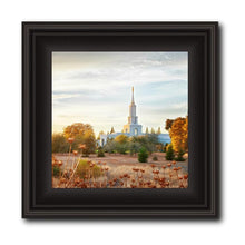 Load image into Gallery viewer, Sacramento 07
