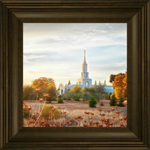 Load image into Gallery viewer, Sacramento 07