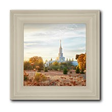 Load image into Gallery viewer, Sacramento 07