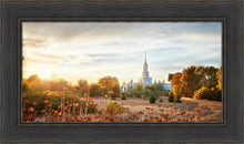 Load image into Gallery viewer, Sacramento 07