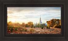 Load image into Gallery viewer, Sacramento 07