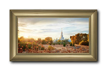 Load image into Gallery viewer, Sacramento 07