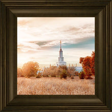 Load image into Gallery viewer, Sacramento 08