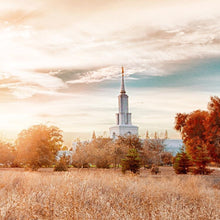 Load image into Gallery viewer, Sacramento 08