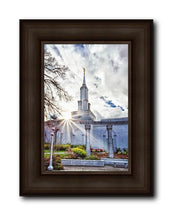 Load image into Gallery viewer, Sacramento 09