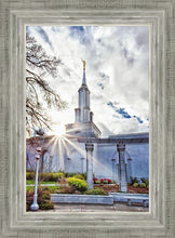 Load image into Gallery viewer, Sacramento 09