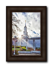 Load image into Gallery viewer, Sacramento 09