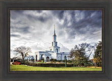 Load image into Gallery viewer, Sacramento 12