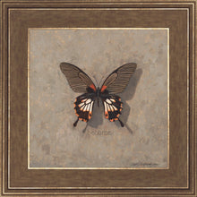 Load image into Gallery viewer, Become Monarch