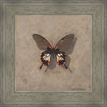 Load image into Gallery viewer, Become Monarch