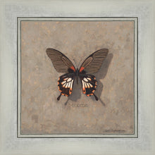 Load image into Gallery viewer, Become Monarch