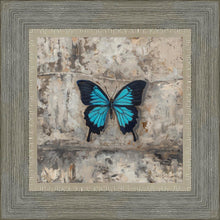 Load image into Gallery viewer, Become Procilla Beauty