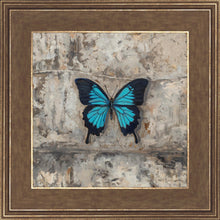 Load image into Gallery viewer, Become Procilla Beauty