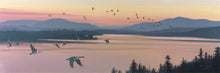 Load image into Gallery viewer, Sounds of Sunset