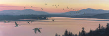 Load image into Gallery viewer, Sounds of Sunset