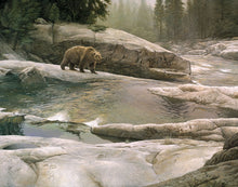 Load image into Gallery viewer, Uzumati - Great Bear of Yosemite