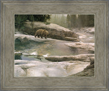 Load image into Gallery viewer, Uzumati - Great Bear of Yosemite