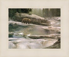 Load image into Gallery viewer, Uzumati - Great Bear of Yosemite