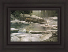 Load image into Gallery viewer, Uzumati - Great Bear of Yosemite