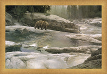 Load image into Gallery viewer, Uzumati - Great Bear of Yosemite