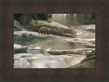 Load image into Gallery viewer, Uzumati - Great Bear of Yosemite