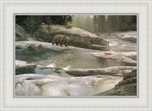 Load image into Gallery viewer, Uzumati - Great Bear of Yosemite