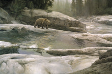 Load image into Gallery viewer, Uzumati - Great Bear of Yosemite