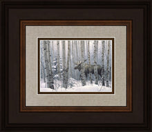Load image into Gallery viewer, A Walk in the Woods