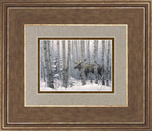 Load image into Gallery viewer, A Walk in the Woods