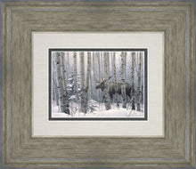 Load image into Gallery viewer, A Walk in the Woods