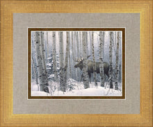 Load image into Gallery viewer, A Walk in the Woods