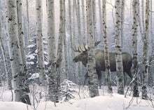 Load image into Gallery viewer, A Walk in the Woods